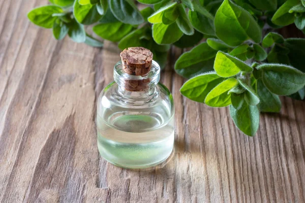 Una botella de aceite esencial de orégano con ramitas frescas de orégano —  Fotos de Stock