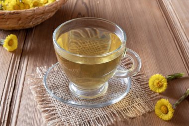Coltsfoot çay taze coltsfoot çiçekli