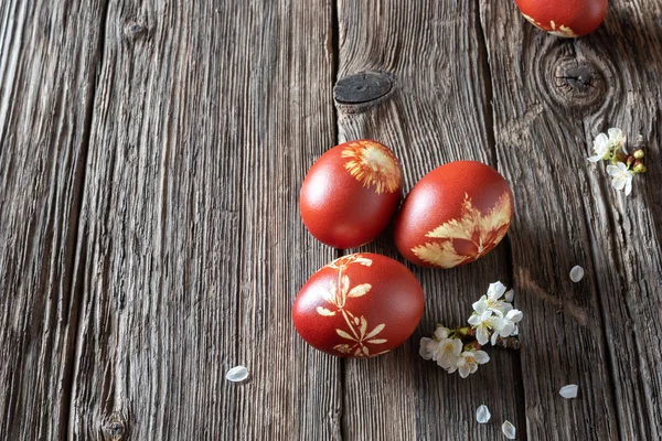 Otlar bir deseni ile Soğan kabuğu ile yumurta boyalı — Stok fotoğraf