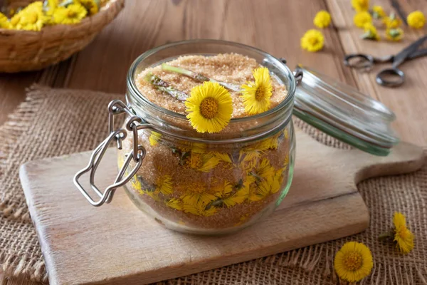 Zubereitung von Huflattich-Sirup aus frischen Blumen — Stockfoto