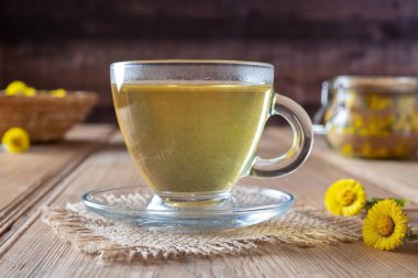Coltsfoot çay taze coltsfoot çiçekli