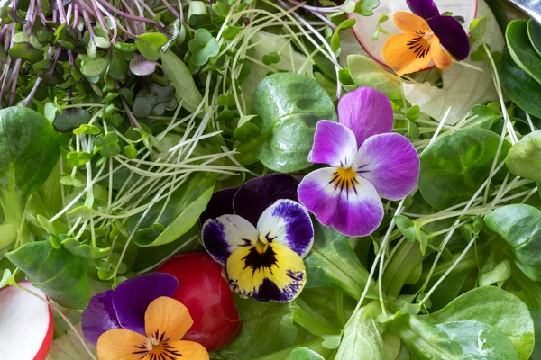 Primer plano de una ensalada con flores comestibles y brócoli fresco y ka — Foto de Stock
