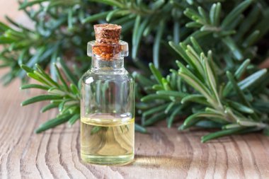 Bir şişe biberiye esansiyel yağı taze biberiye ile