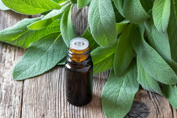A bottle of sage essential oil with fresh sage twigs — Stock Photo, Image
