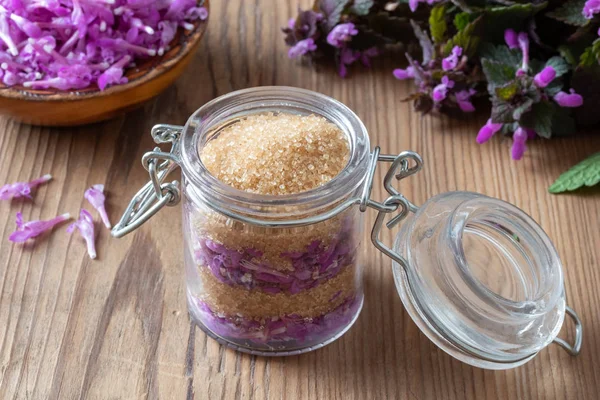Подготовка сиропа из свежей фиолетовой крапивы — стоковое фото