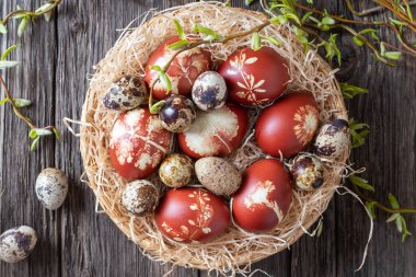 Easter eggs dyed with onion peels and quail eggs in a basket clipart
