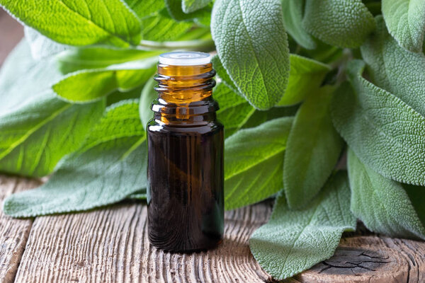 A bottle of sage essential oil with fresh sage twigs