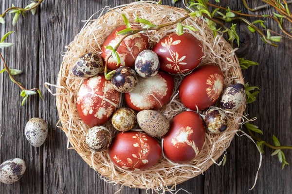 Пасхальные яйца, окрашенные луковой кожурой и перепелиными яйцами в корзину — стоковое фото