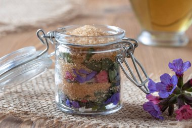 Taze lungwort çiçek şurubu hazırlanması