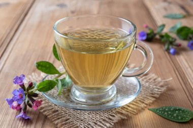Taze lungwort veya pulmonaria çiçek ile bitkisel çay