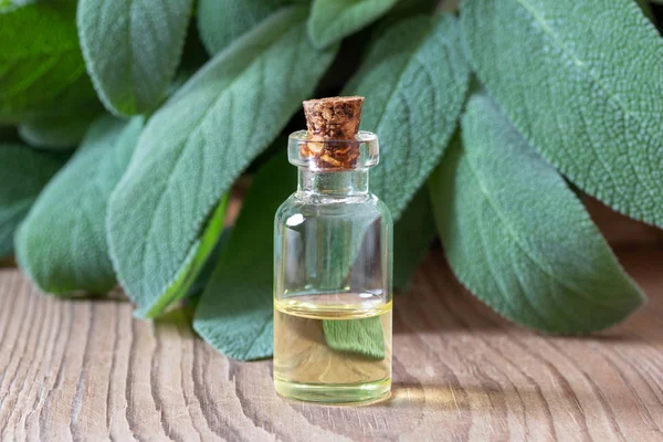 A bottle of sage essential oil with fresh sage twigs — Stock Photo, Image