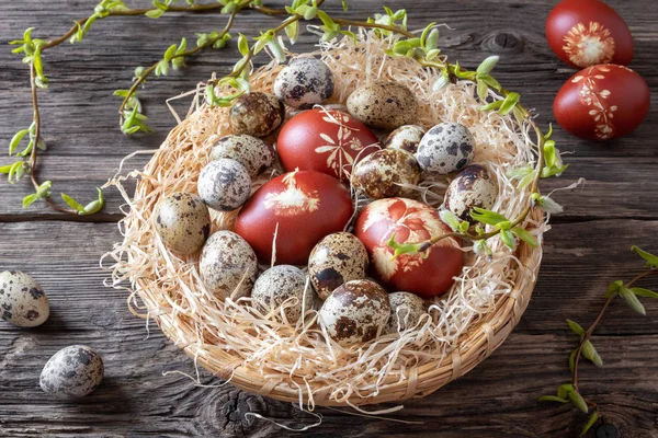 Пасхальные яйца, окрашенные луковой кожурой и перепелиными яйцами в корзину — стоковое фото