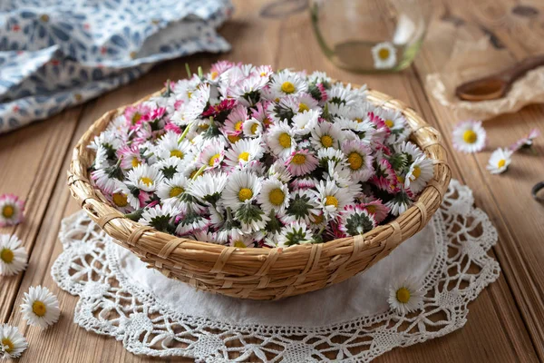 Fælles daisy blomster i en kurv - Stock-foto