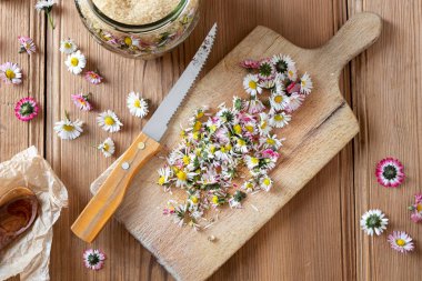 Ev yapımı papatya şurubu hazırlamak için papatya çiçek kesme