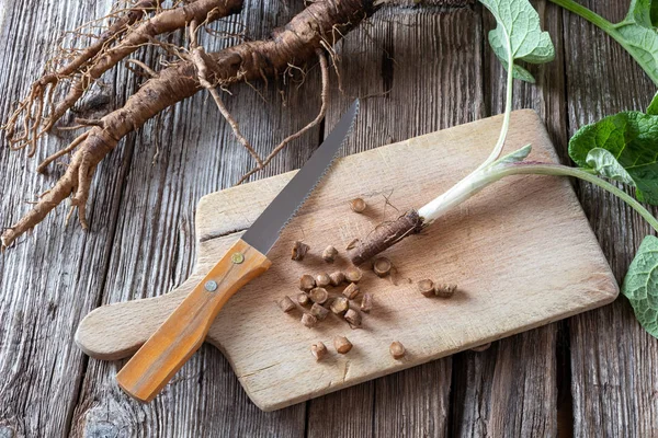 Cutting up burdock root on a cutting board