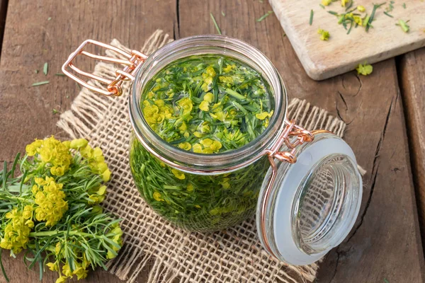 Preparación de tintura de hierbas a partir de ciprés spurge — Foto de Stock