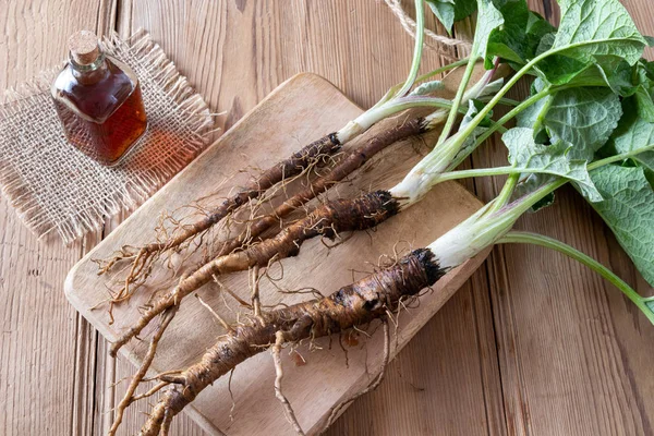 Zahrabat kořeny a tinktury na stole — Stock fotografie