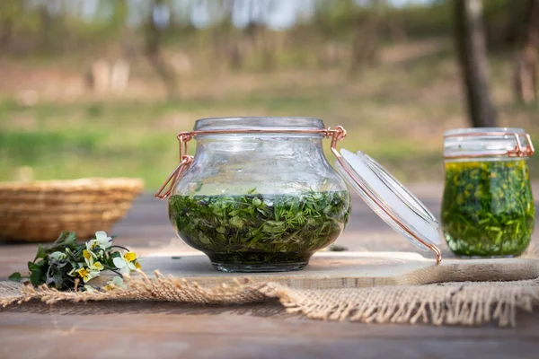 Preparación de tintura a partir de Viola arvensis fresca — Foto de Stock