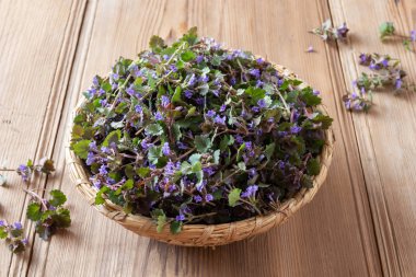 Bir masada bir sepet içinde taze zemin-sarmaşık