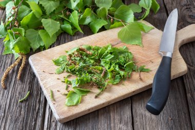 Tentür hazırlamak için huş yaprakları kesme