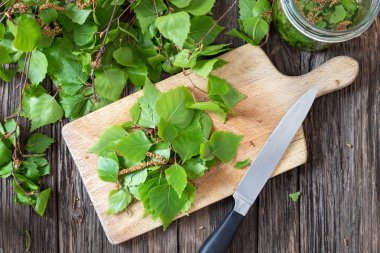 Tentür hazırlamak için huş yaprakları kesme, üst görünüm
