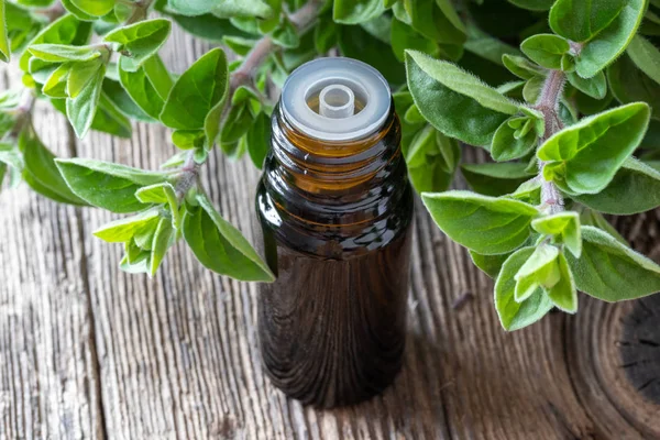 A bottle of oregano essential oil with oregano twigs — Stock Photo, Image