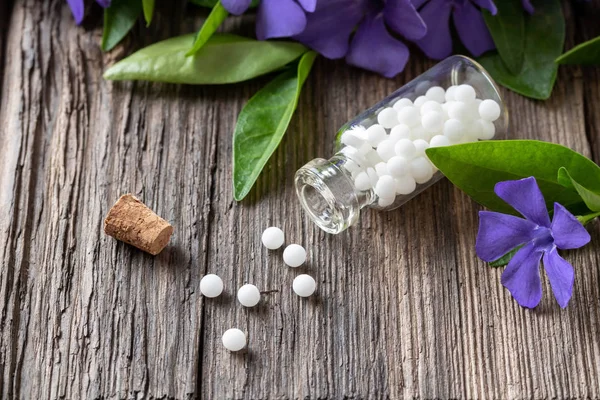 Una botella de píldoras homeopáticas con vinca planta menor — Foto de Stock
