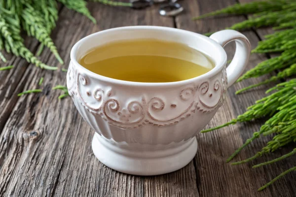 A cup of horsetail tea with fresh horsetail — Stock Photo, Image