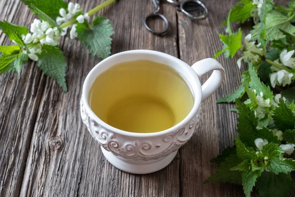Uma xícara de chá branco de urtiga morta com planta fresca — Fotografia de Stock