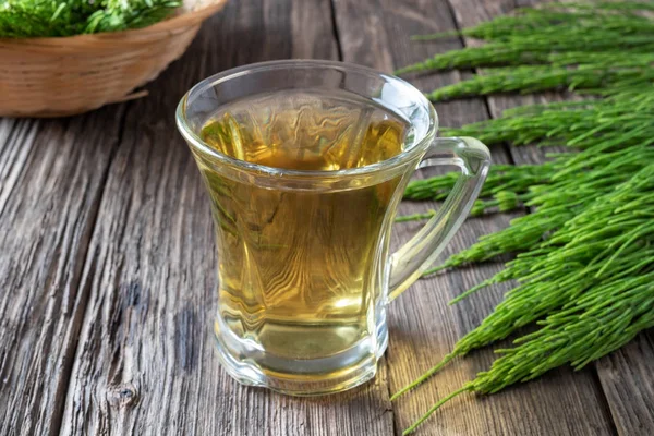 En kopp åkerfräken te med färsk åkerfräken kvistar — Stockfoto