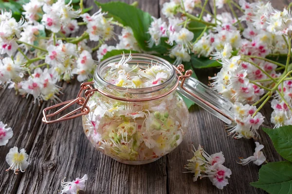 Fremstilling af tinktur fra hestekastanje blomster - Stock-foto