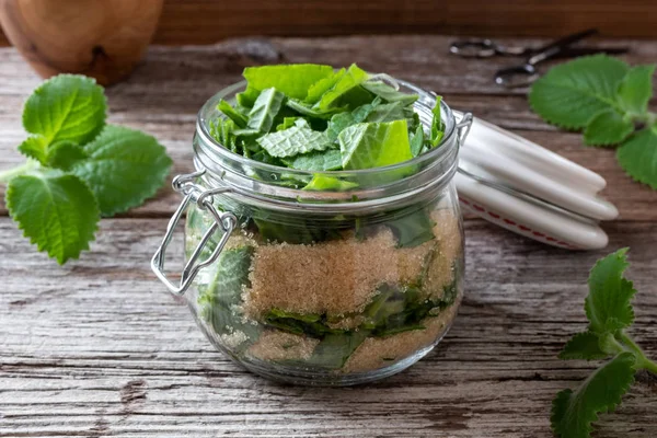 Preparación de un jarabe de espurflor de plata a partir de espurf de plata fresca — Foto de Stock