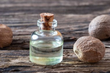 Bütün hindistan cevizi ile hindistan cevizi uçucu yağ bir şişe