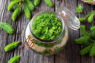 Ladin şurubu nun genç ladin uçlarından hazırlanması