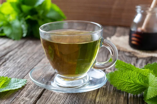 Melissa çay taze melissa dallar ile — Stok fotoğraf