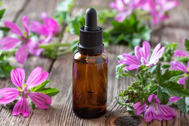 Taze malva sylvestris flo ile ebegümeci esansiyel yağ bir şişe