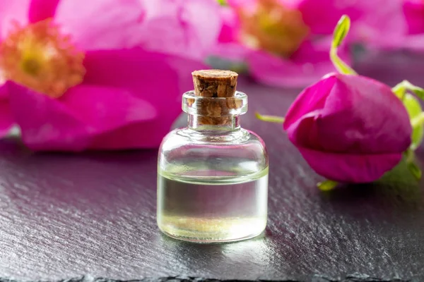 Een fles etherische olie met rugosa rozen — Stockfoto