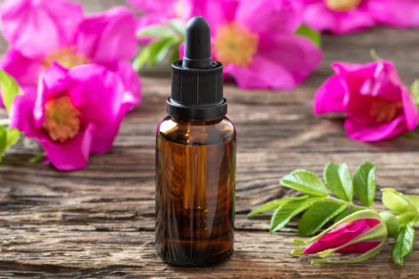 Rugosa gül ile uçucu yağ bir şişe