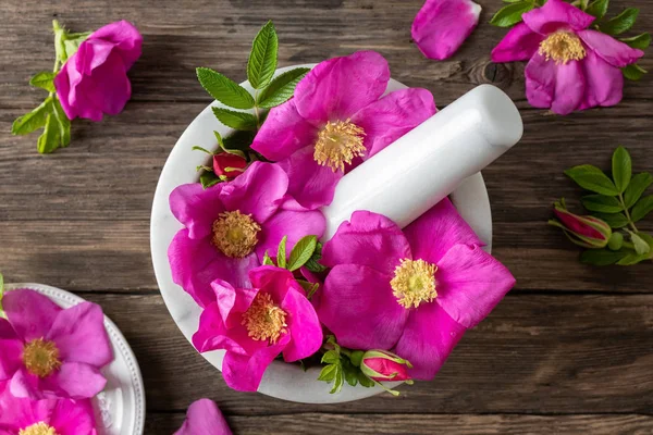 Fresh rosa rugosa flowers in a mortar — Stock Photo, Image