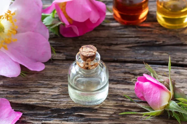 A bottle of essential oil with dog rose flowers — Stock Photo, Image