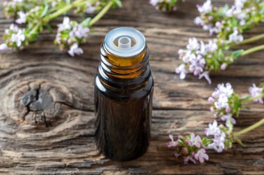 Bir şişe kekik yağı ve taze kekik.