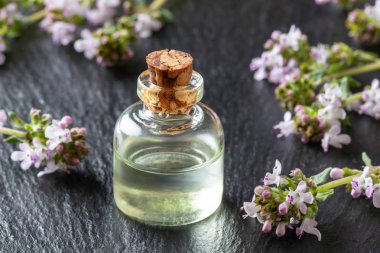 Bir şişe kekik yağı ve taze kekik.