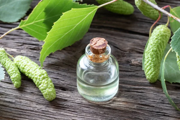 Бутылка эфирного масла с березовыми ветвями — стоковое фото