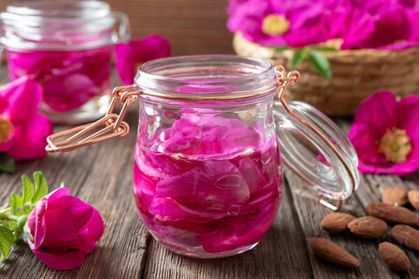 Rugosa rose petals macerating in almond oil