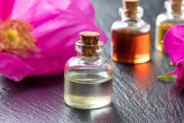 Butelka olejku z Rugosa Róża kwiaty — Zdjęcie stockowe