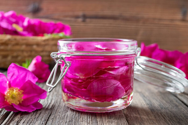 Rugosa rose petals macerating in almond oil on a table