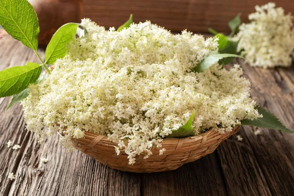 Flores frescas de saúco en una canasta sobre una mesa —  Fotos de Stock