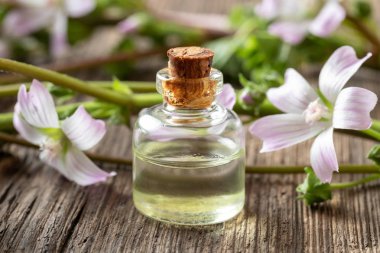 Taze Malva ihmalecta bitki ile Mallow esansiyel yağı bir şişe