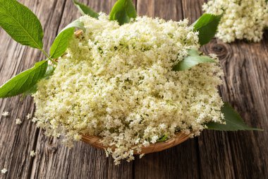 Bir masada bir sepet içinde taze yaşlı çiçekler