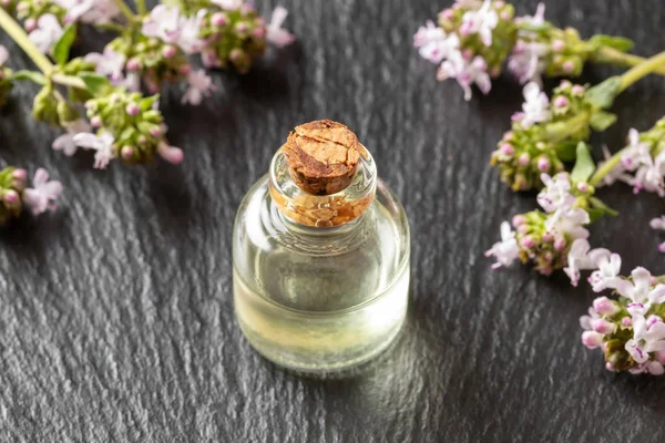 Una botella de aceite esencial de tomillo con tomillo fresco — Foto de Stock